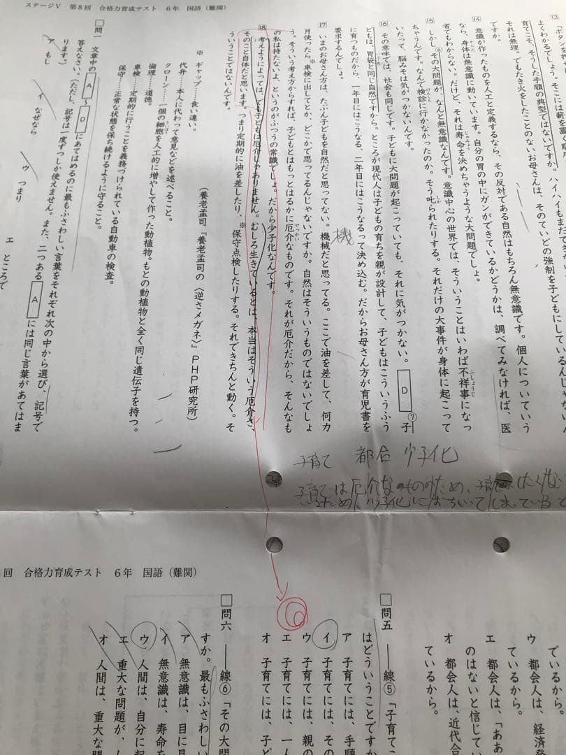 日能研学習力育成テスト、合格力実践テスト、難関校トライアル他6年2024
