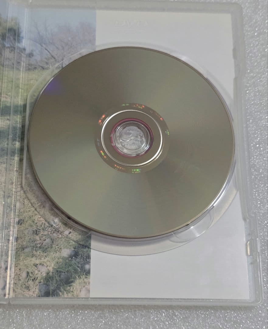 【廃盤】センセイの鞄 DVD 感動 涙　川上 弘美　小泉 今日子　栗本 明