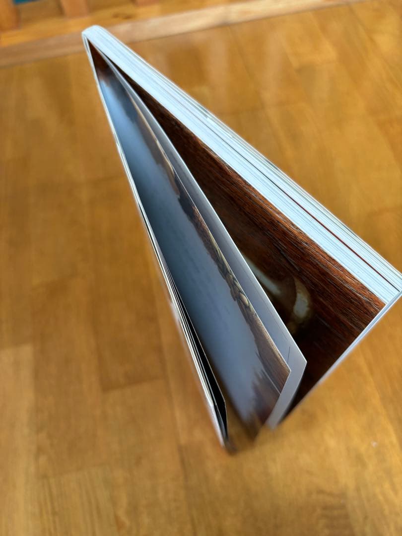 オラクルミラクル夢がくる! : 新就職時代のナビゲーター入社案内book登場!