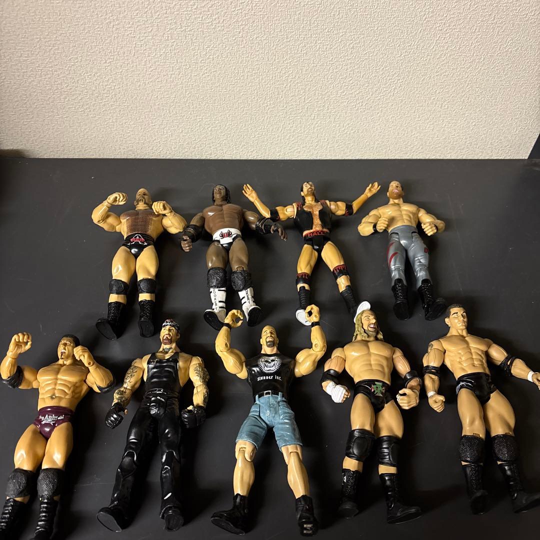 WWE トイビズ&ジャックス　プロレスフィギュア セット 可動式