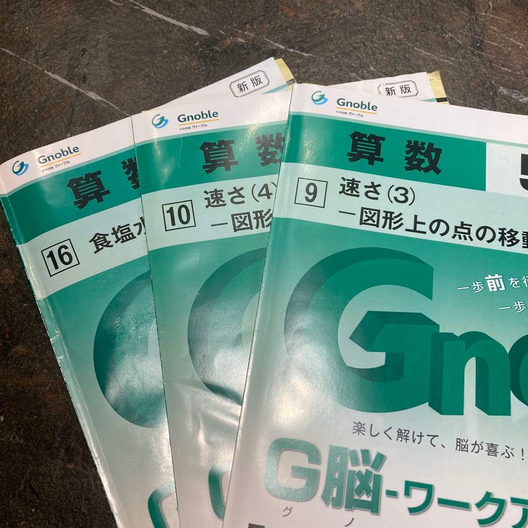 【中学受験】最新版　グノーブル算数5年　G脳ワークアウト30冊　26400円
