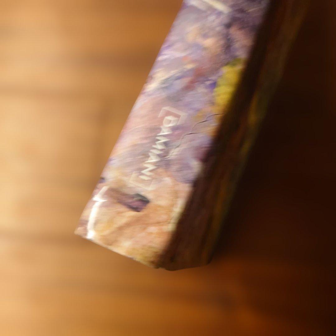 サイ・トゥオンブリ Cy Twombly: Paradise 画集。AYA様向け