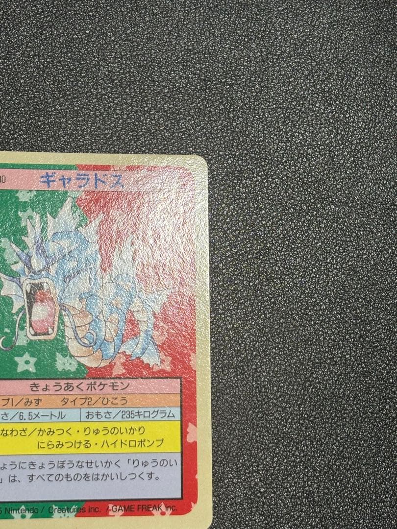 ポケモンカード　トップサン　裏青　ギャラドス
