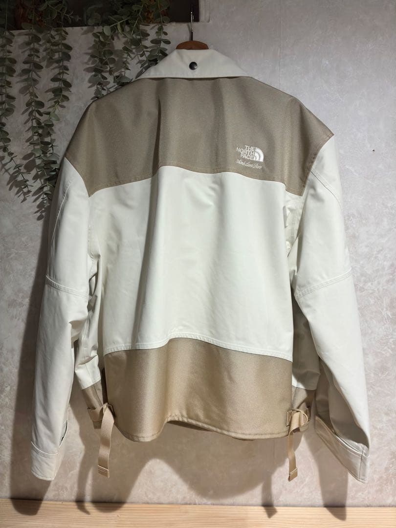 ジャケット・アウター aime leon dore the north face jacket