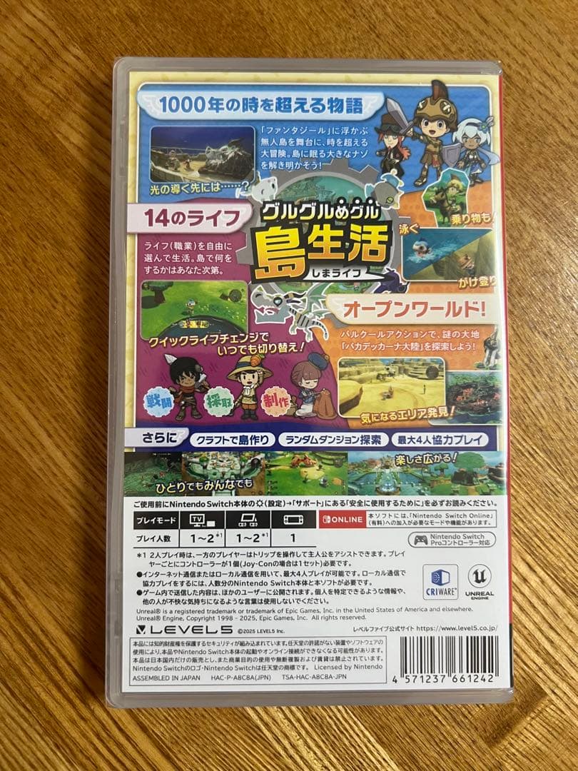 Switch ファンタジーライフiグルグルの竜と時をぬすむ少女 早期購入特典