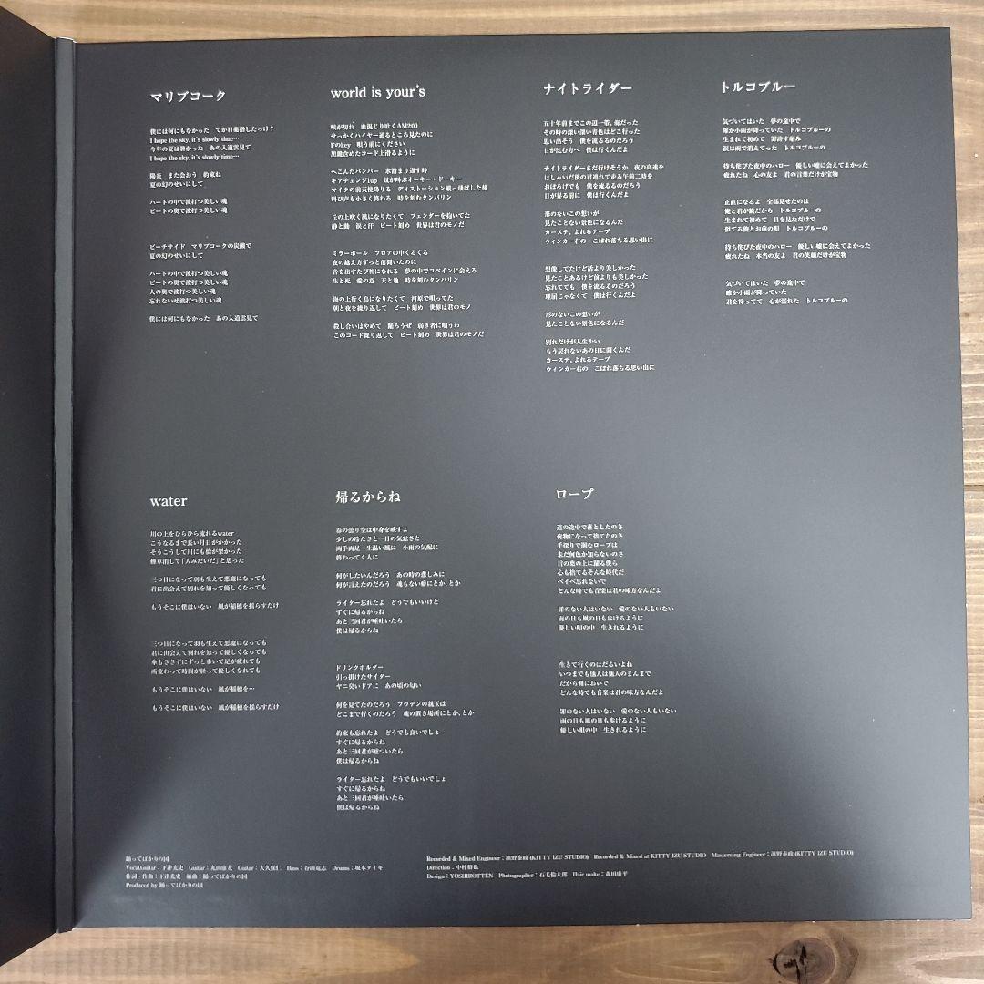 踊ってばかりの国 光の中に LPレコード