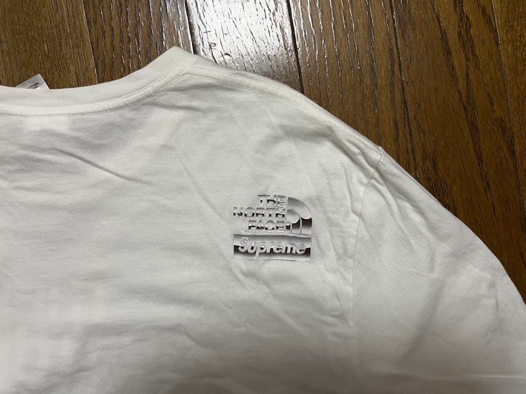 Supreme / The North Face® llic Logo