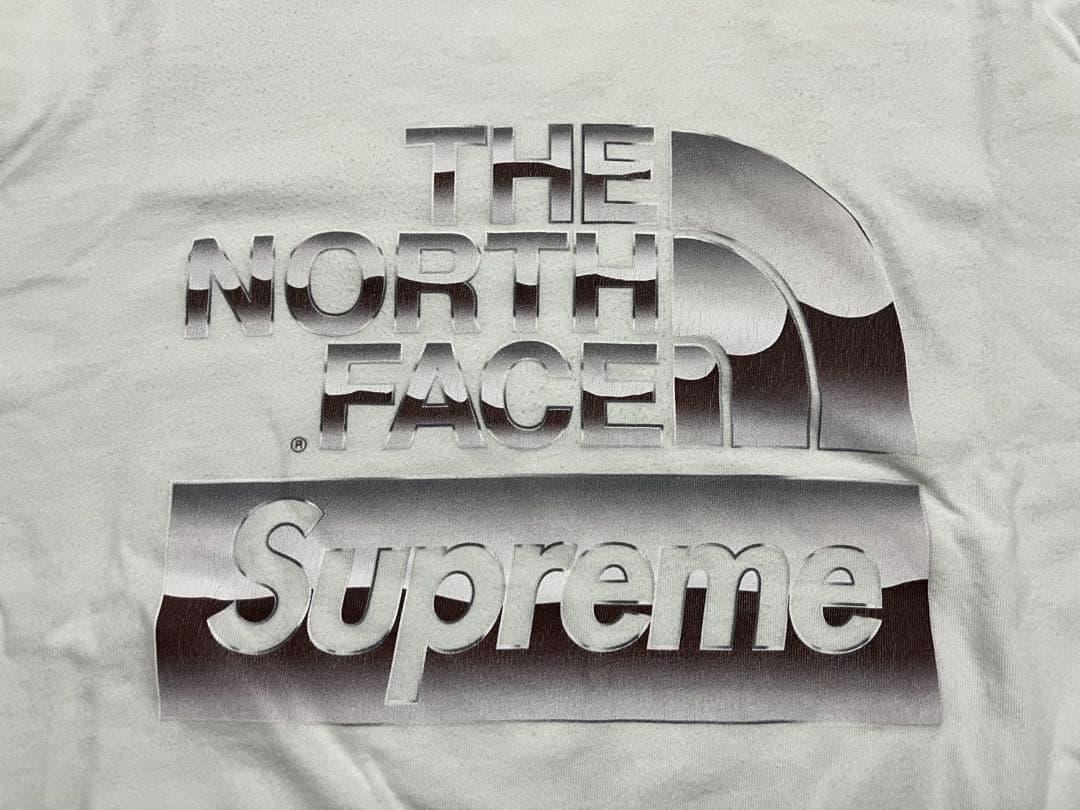 Supreme / The North Face® llic Logo