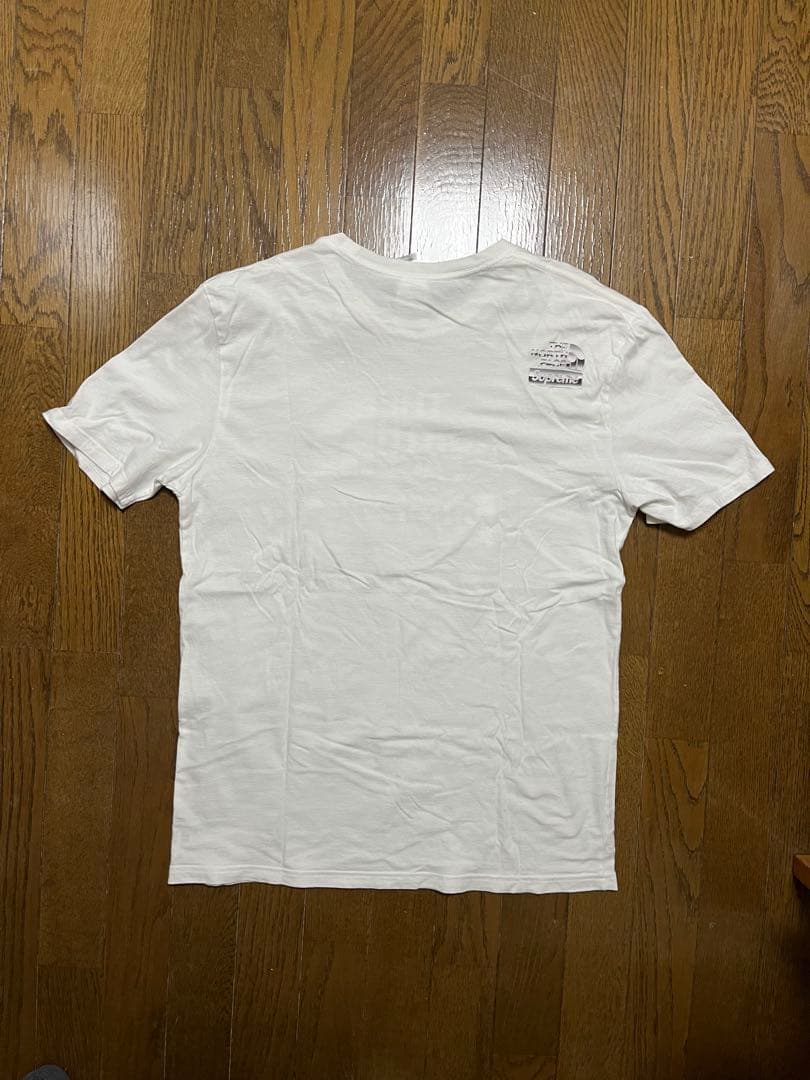 Supreme / The North Face® llic Logo
