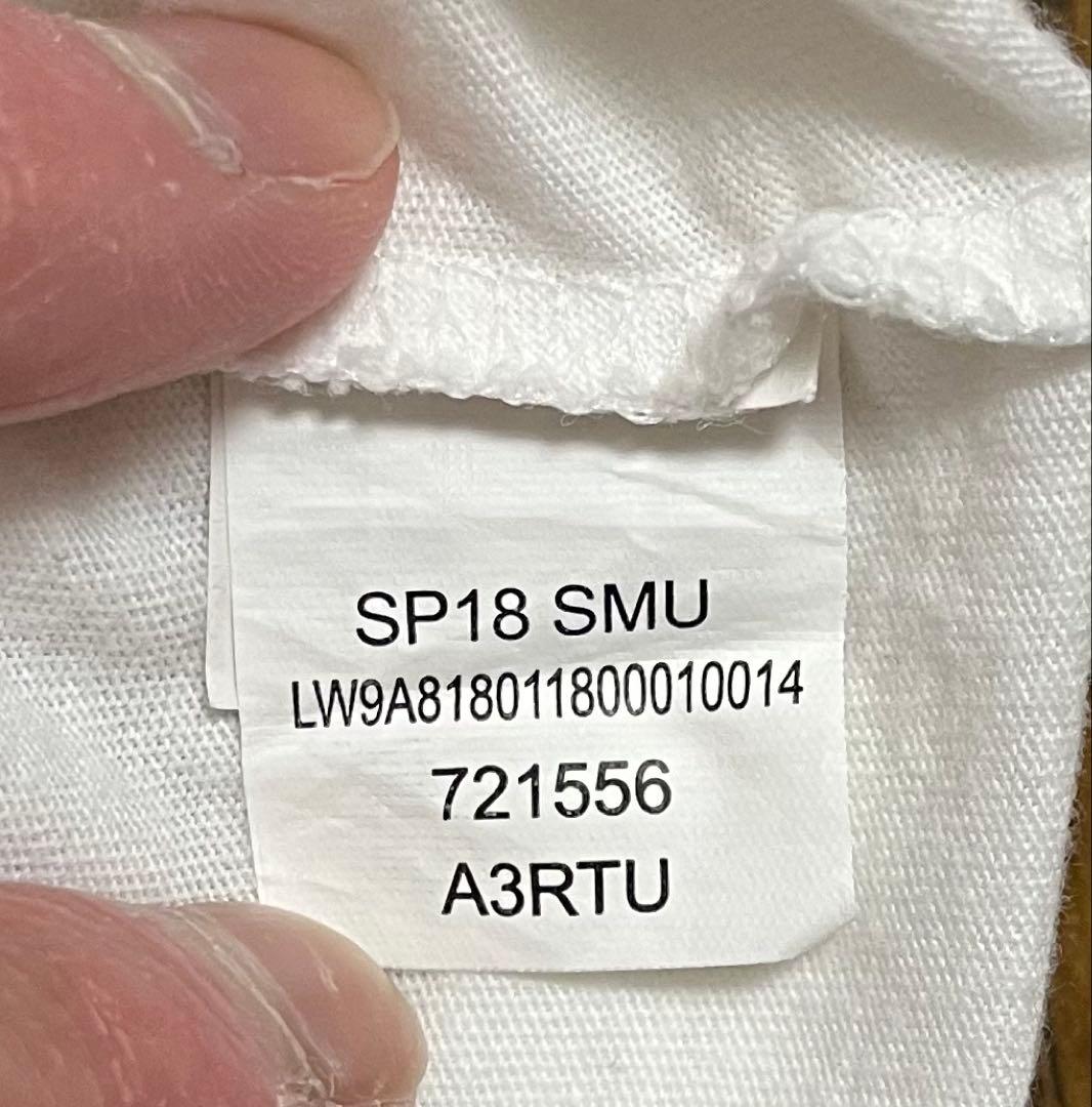Supreme / The North Face® llic Logo