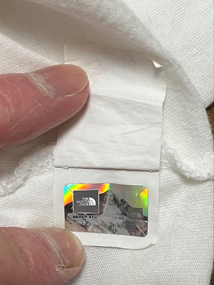 Supreme / The North Face® llic Logo