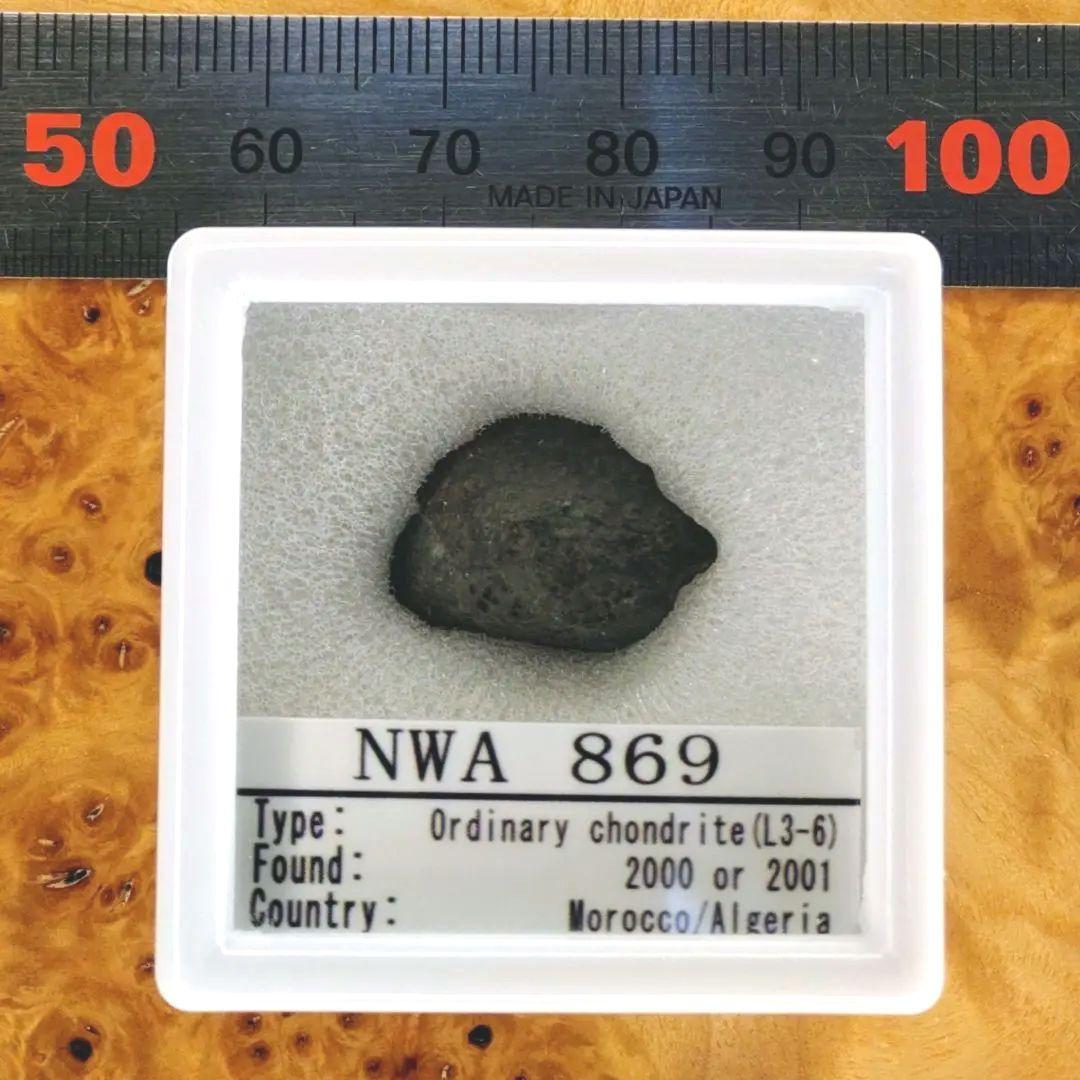 宇宙の宝箱❗️NWA869隕石　標本