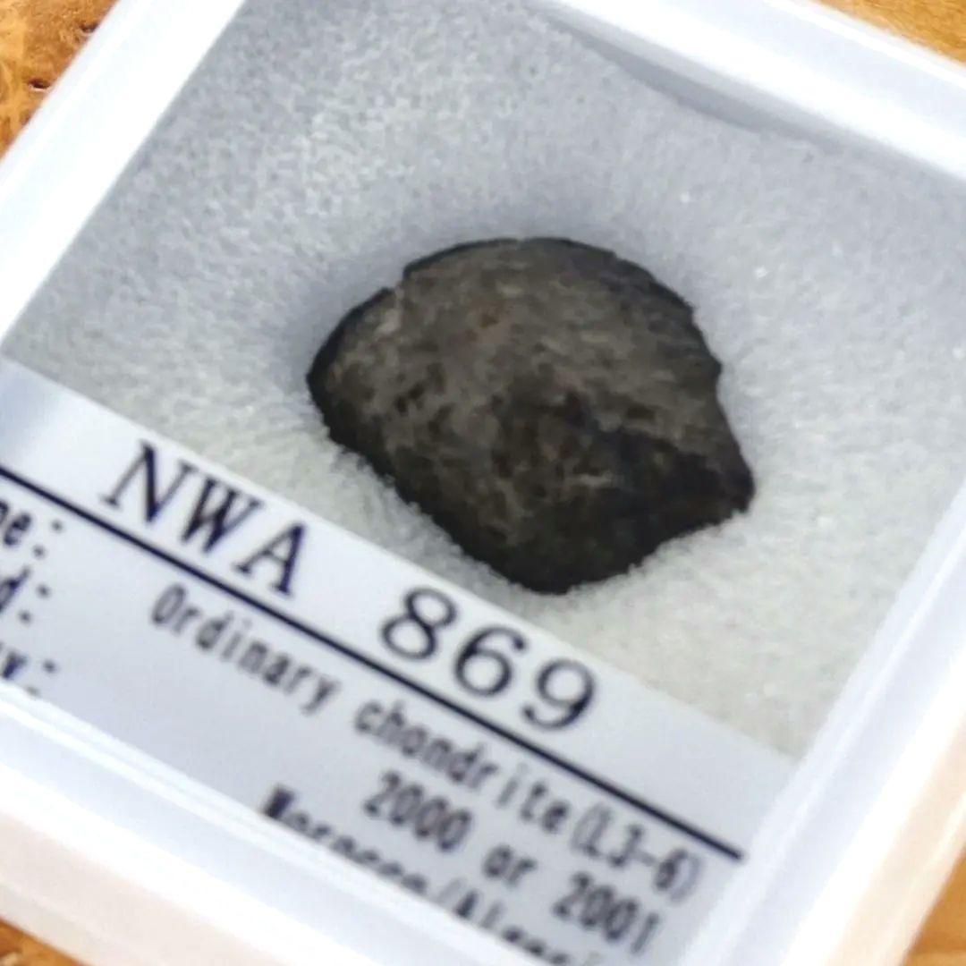 宇宙の宝箱❗️NWA869隕石　標本