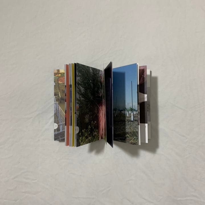 【絶版洋書】thoughtless acts?