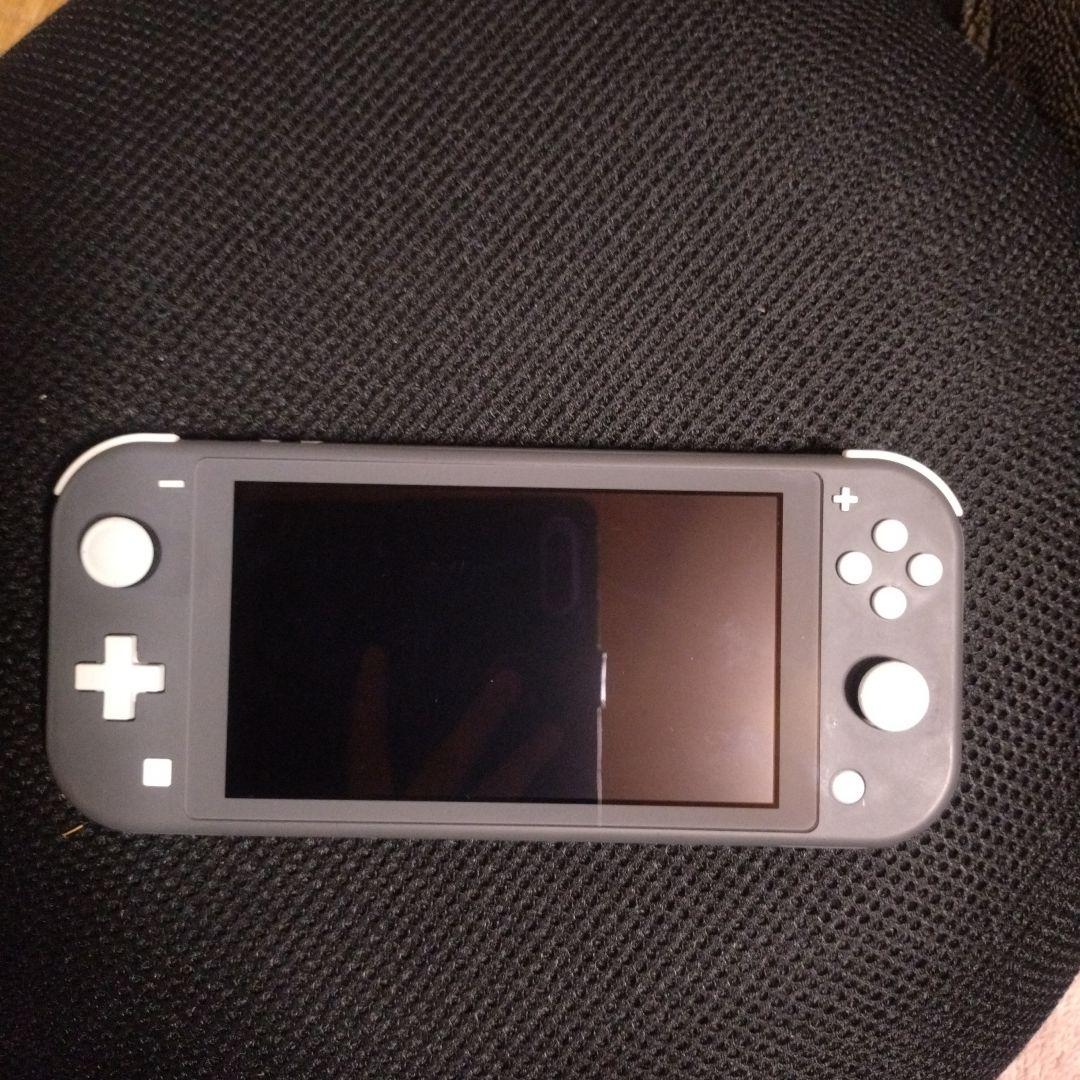 Nintendo Switch Lite 箱無し