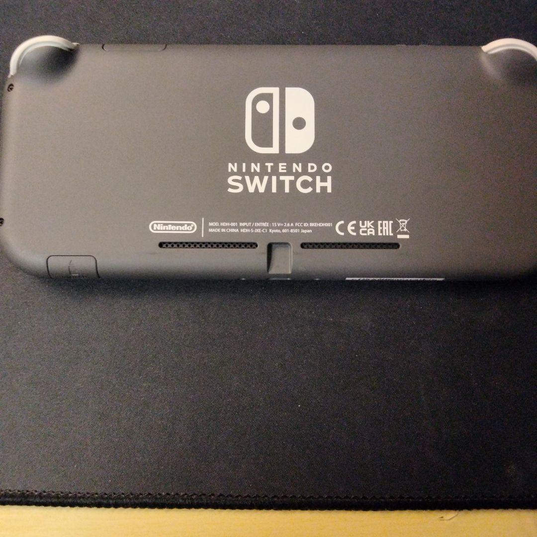 Nintendo Switch NINTENDO SWITCH LITE グ…