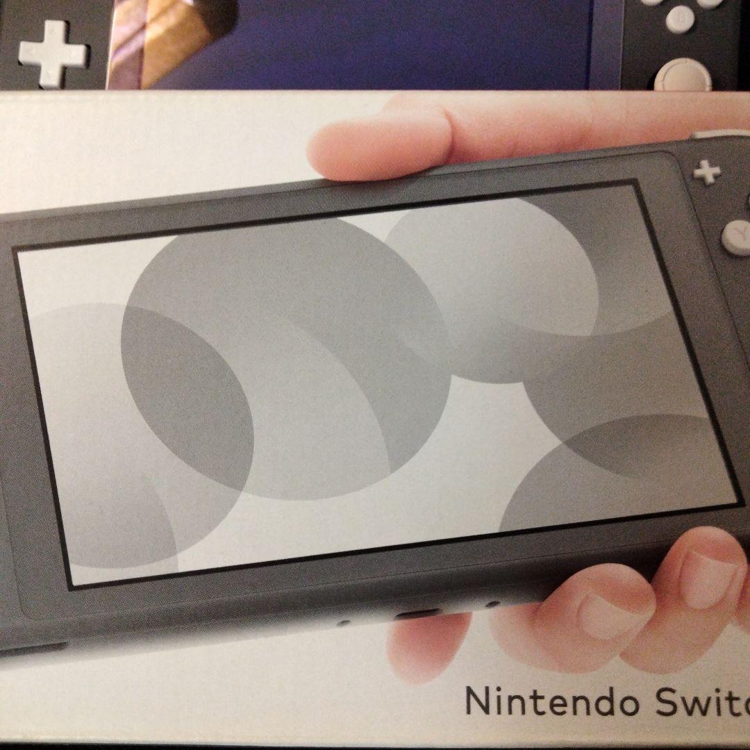Nintendo Switch NINTENDO SWITCH LITE グ…