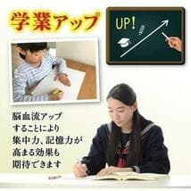 電磁波 防止グッズ wifi 5G対応 新型 ＣＭＣ スタビライザー10 地磁気