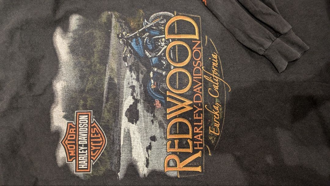Harley-Davidson ハーレーファイヤーフレイム ロンt＃US＃ハーレ