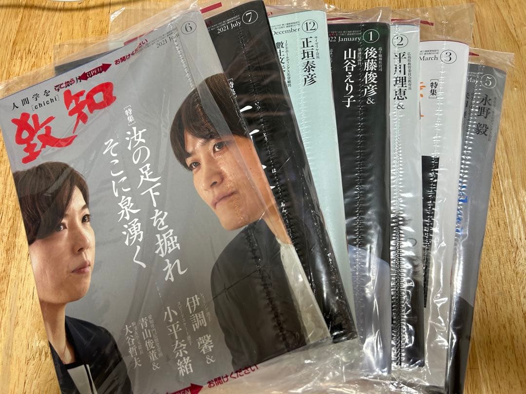 致知
