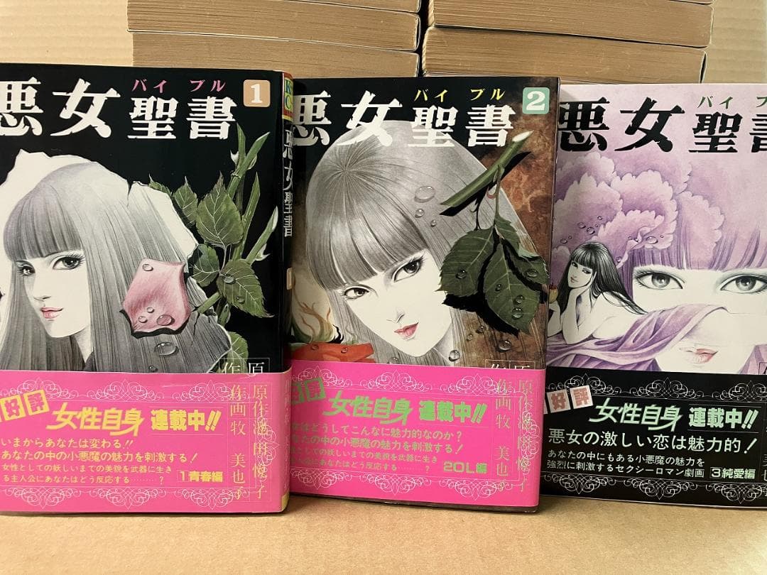 悪女聖書 全27巻＋Ⅱ 全6巻　牧美也子 / 池田悦子