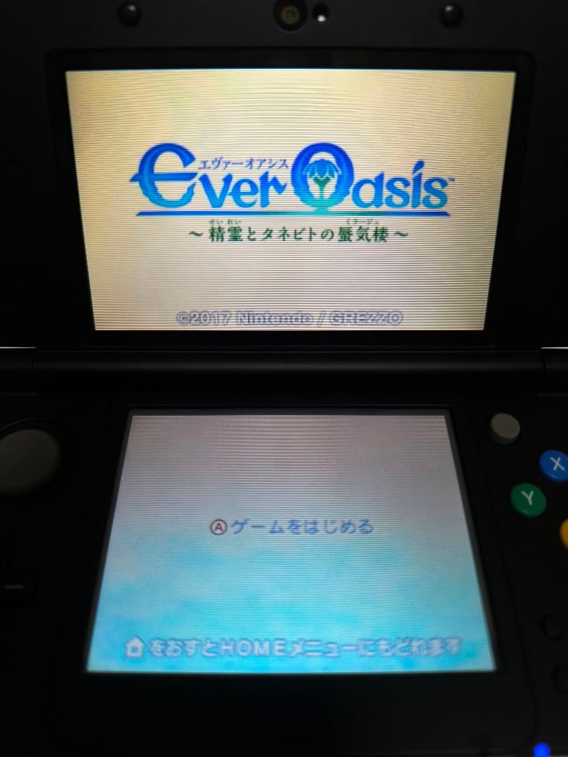 エヴァーオアシス 精霊とタネビトの蜃気楼 ニンテンドー3DS 任天堂