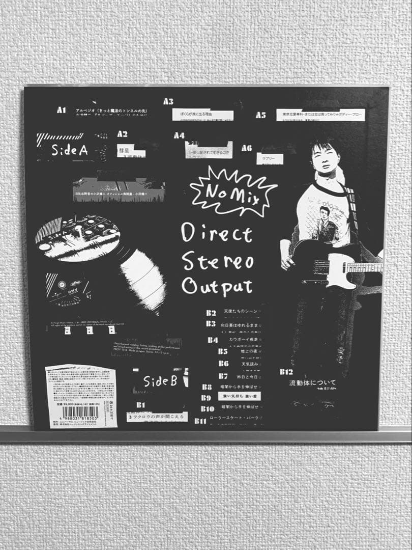 小沢健二 日比谷野音　オフィシャル海賊盤　アナログレコードLP