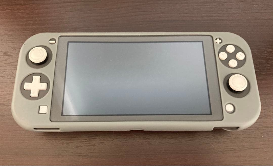 Nintendo Switch Lite&充電ケーブル ジャンク品