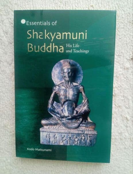 5冊セット 仏教 Buddhist Essentials Series 洋書