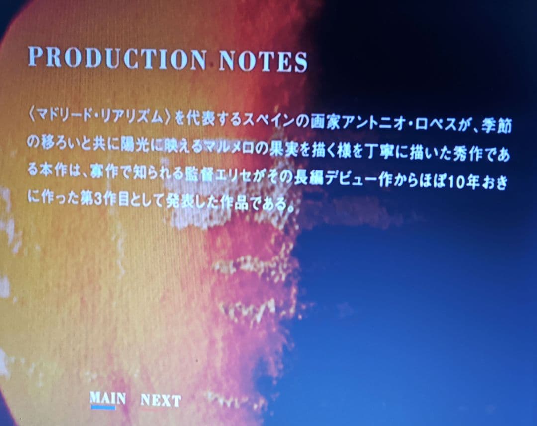 マルメロの陽光 El sol del membrillo DVD