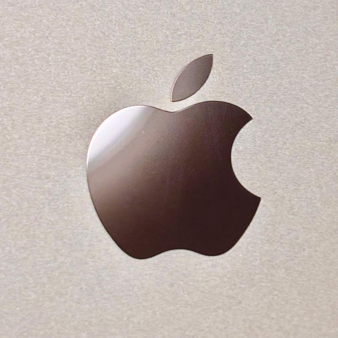 iPad mini Apple pencil 第5世代 64GB ゴールド