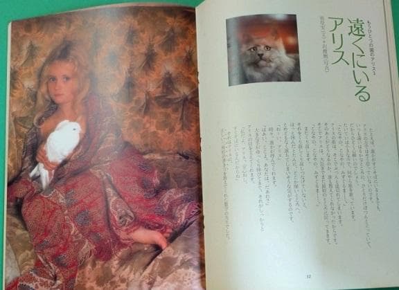 怪傑アンパンマン第11話 詩とメルヘン 1975年11月号 別役実／沢渡朔