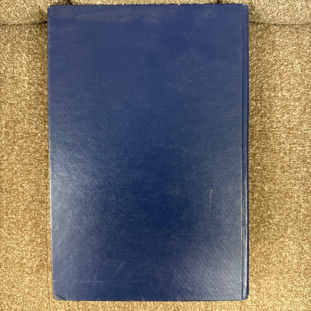 洋書 The Sound Pattern of English