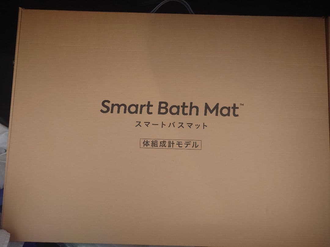 issin スマートバスマット Smart Bath Mat