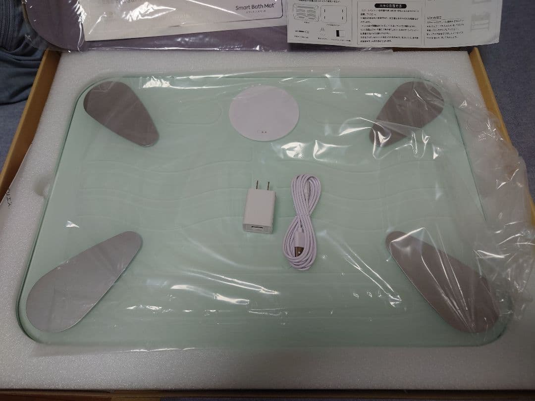 issin スマートバスマット Smart Bath Mat