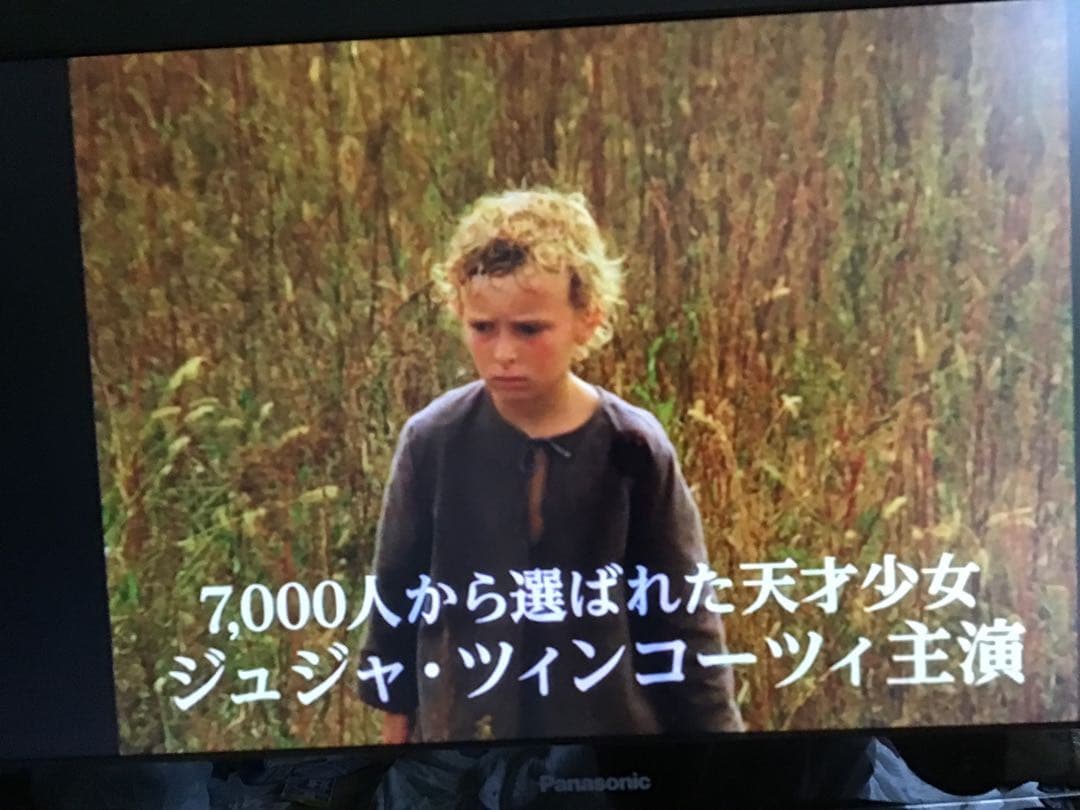◆だれのものでもないチェレ◆DVD 希少廃盤　レア視聴確認済み　ジュニアキッズ