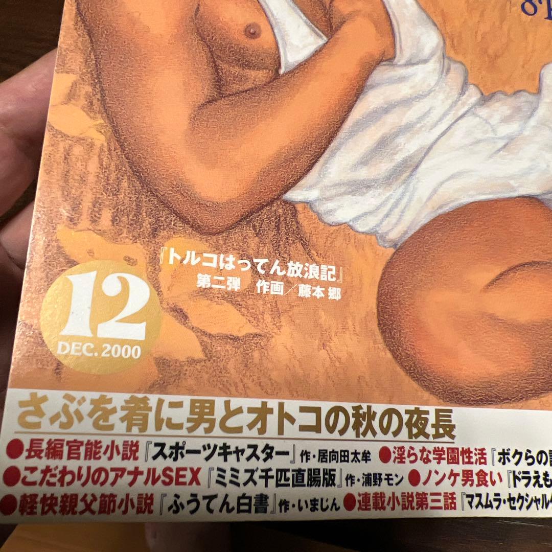さぶ 男と男の抒情誌 2000年12月号　廃刊