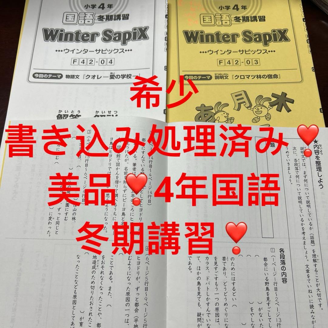 ㉑ AB SAPIX サピックス　4年　国語　冬期講習　ウィンターサピックス