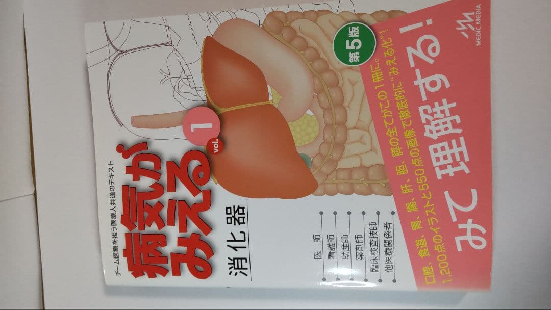 病気がみえる セット 他 医学書13冊