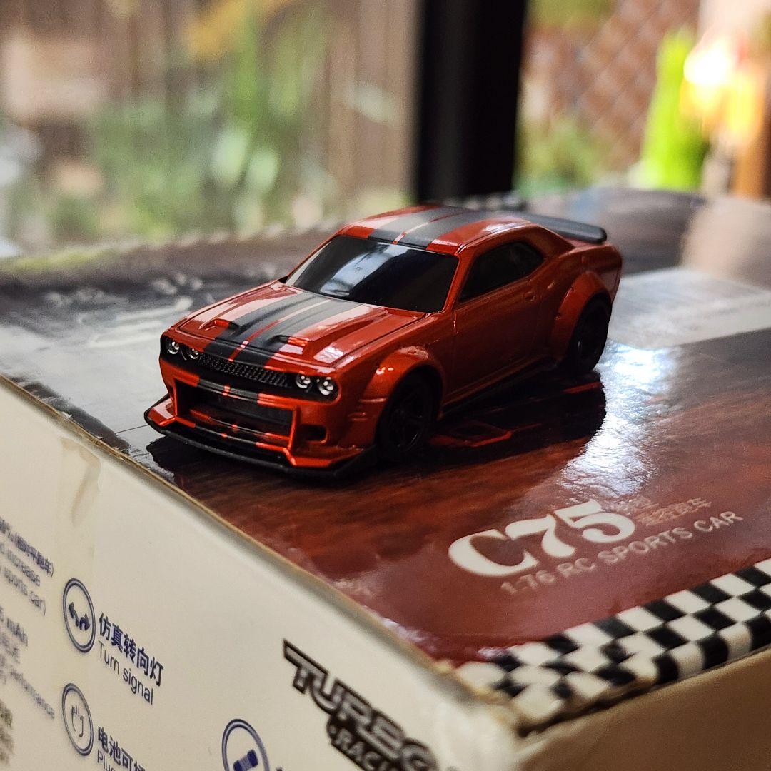 TURBO RACING C75 1/76スケール RTR　グリップ走行
