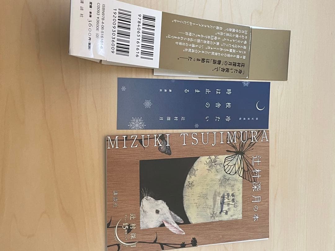 冷たい校舎の時は止まる 限定愛蔵版 辻村深月