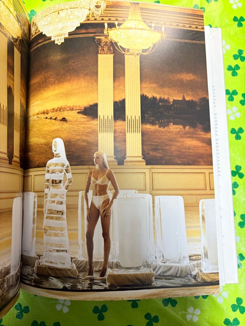 洋書 STYLIST: THE INTERPRETERS OF FASHION