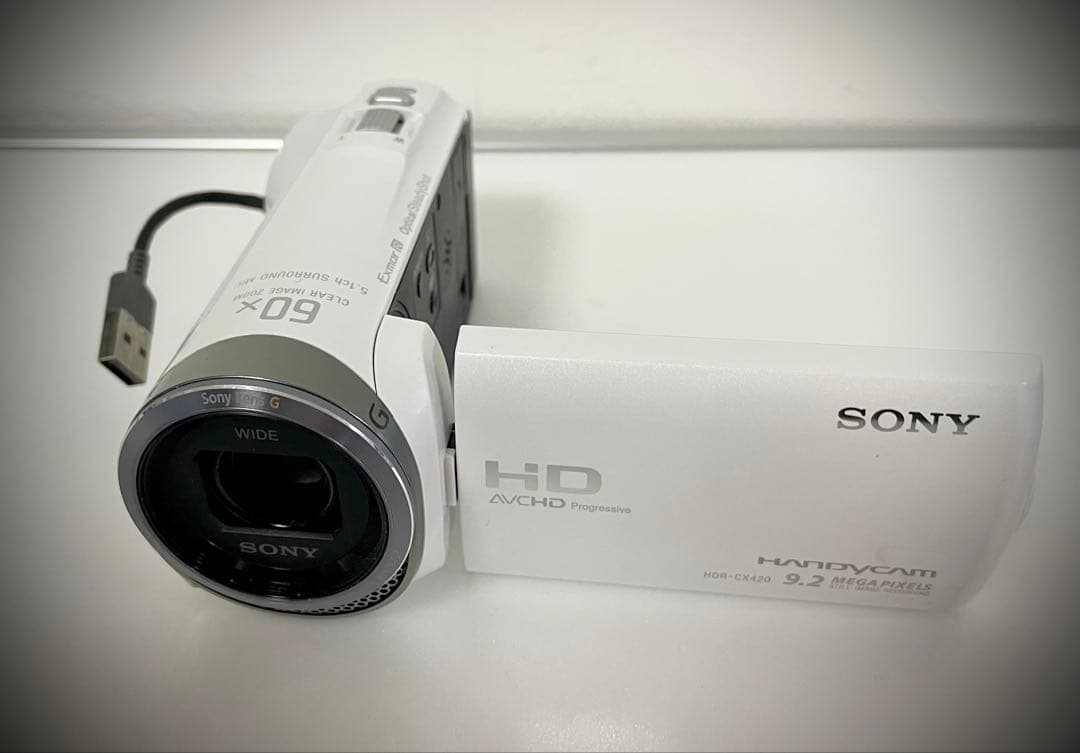 は*る様 SONY HDR-CX420 ビデオカメラ 本体