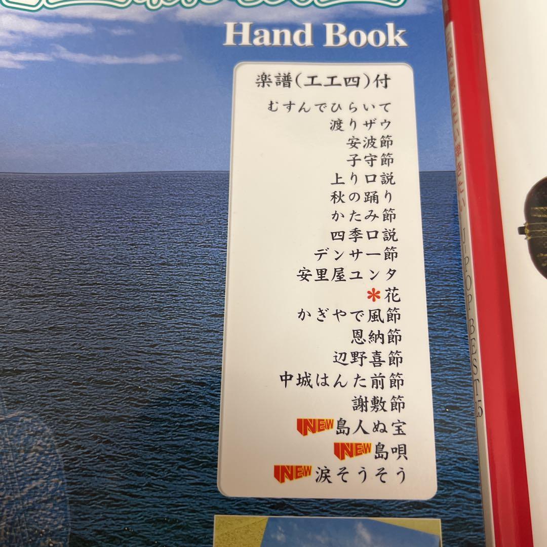 沖縄 黒塗り 三線 人口蛇皮 初心者向けセット 鍵付ハードケース付き 付属品多数