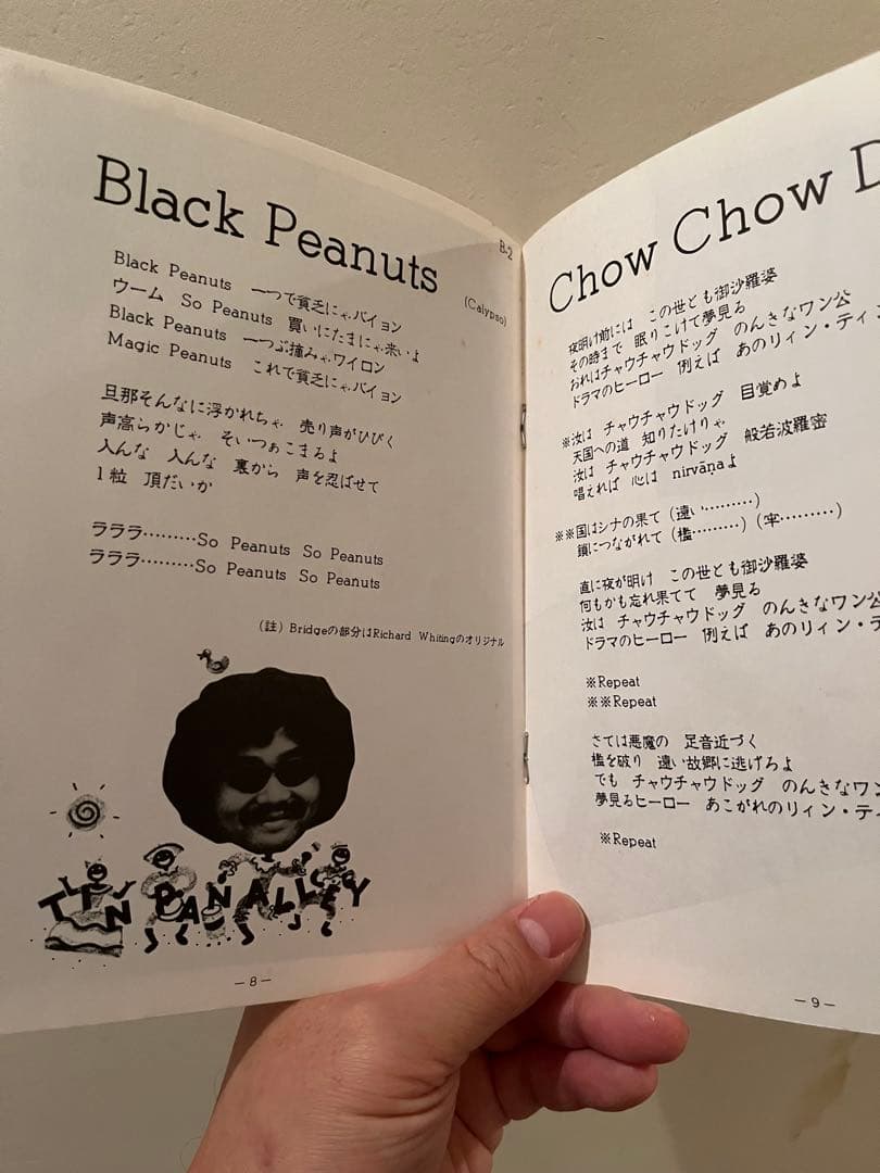細野晴臣　 Bon Voyage Co.　泰安洋行　アナログレコード　帯付き