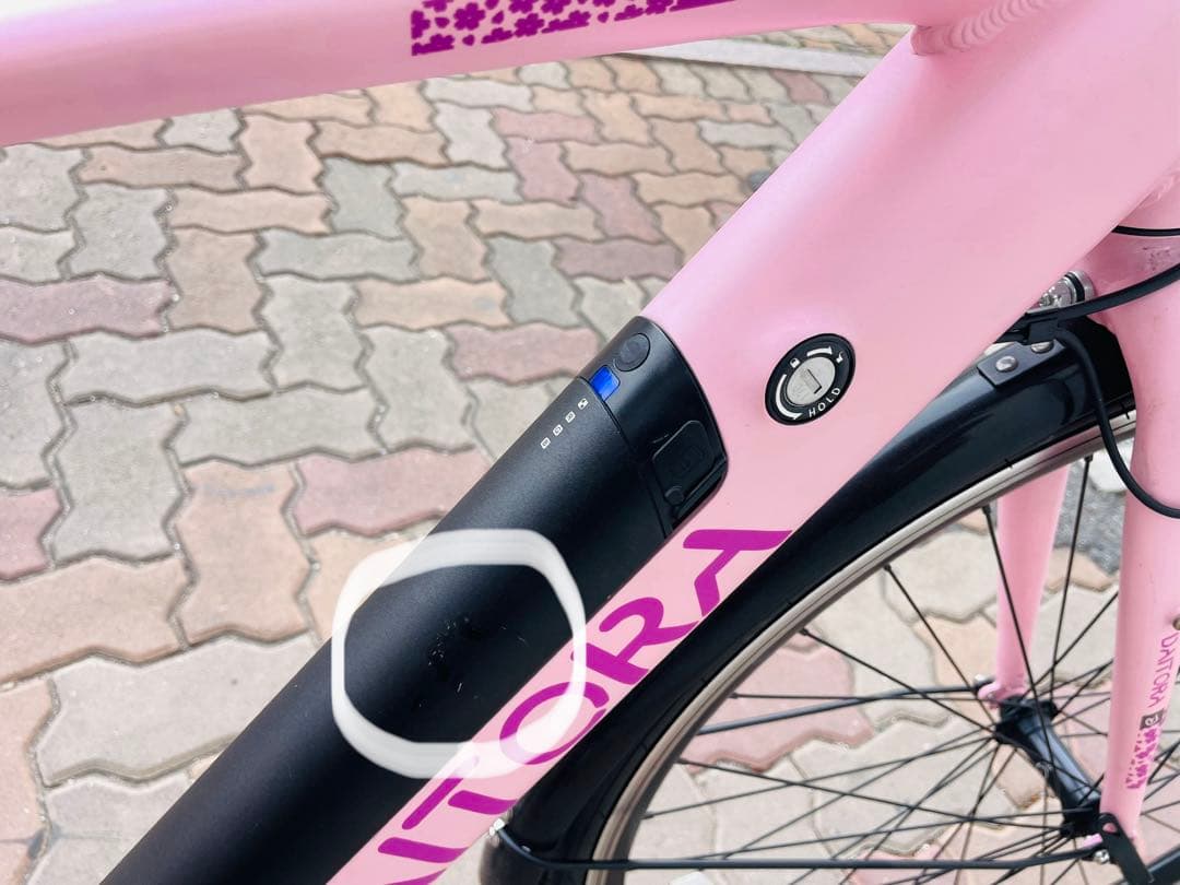 【Hiroshi Ito様商談中】DAITORA 電動アシスト自転車