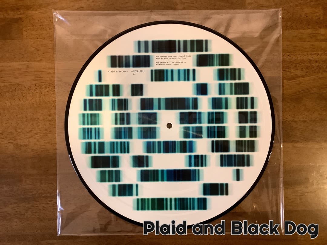 Plaid - Stem Sell (限定300枚プレス)+α