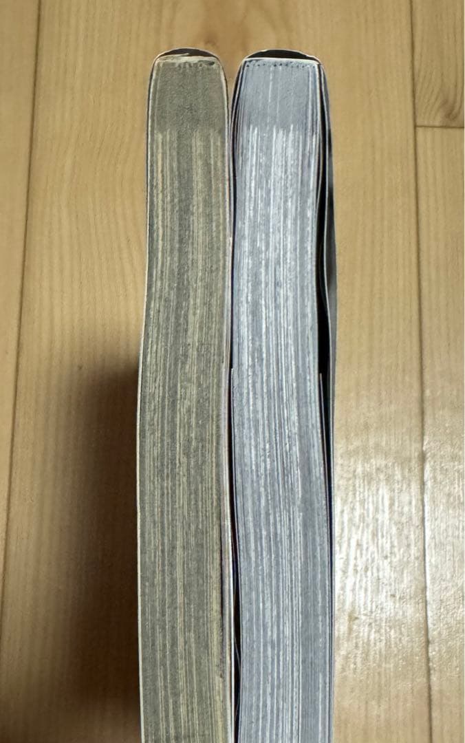 ワイルドアダプター 英語版　漫画　English Manga