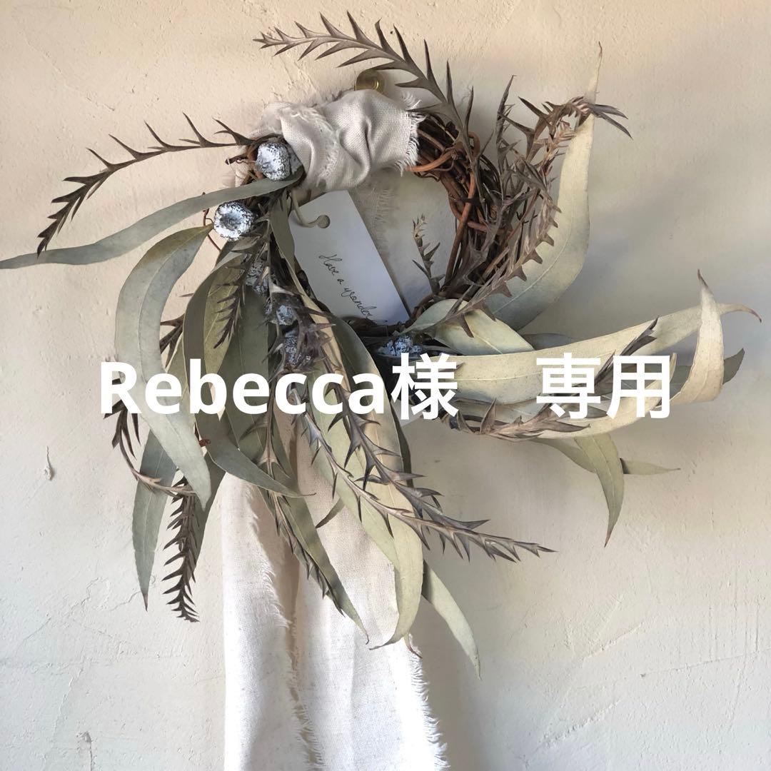 Rebecca　イエロー