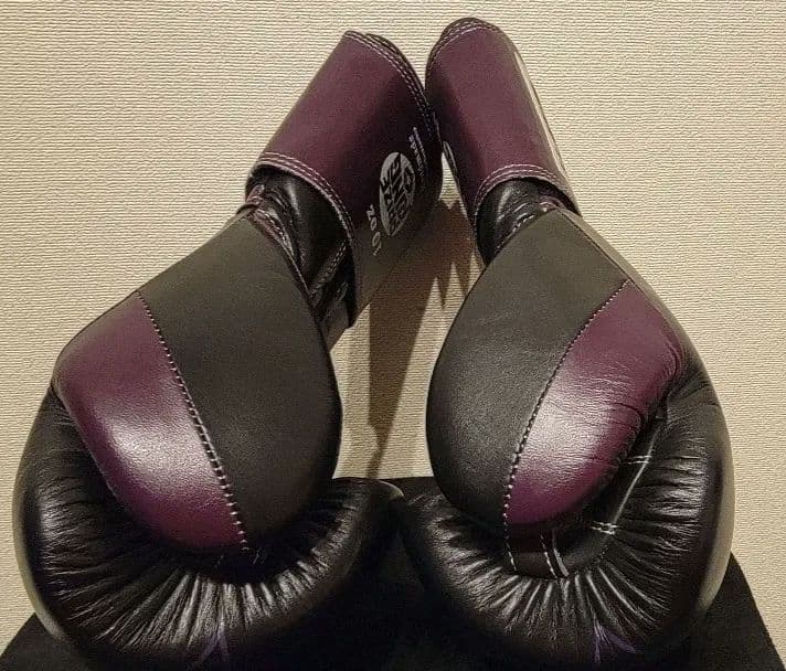 『自然菜園 はるかぜ』　PRIZE RING ボクシンググローブ10oz